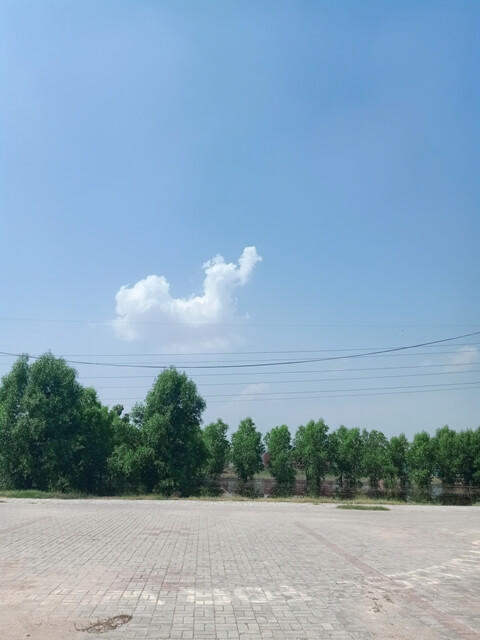 An alone cloud on a garden 