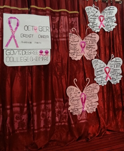 Breast cancer awareness seminar stage decor