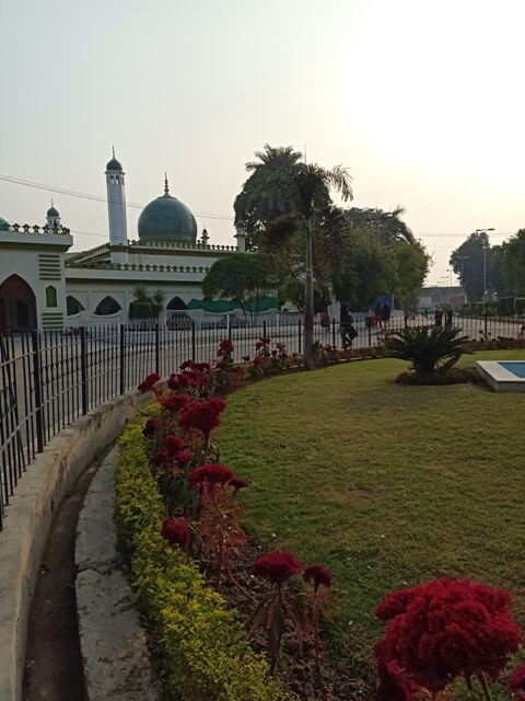 Mosque view from a garden