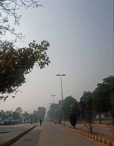 A road in a university 
