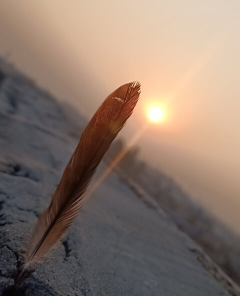 Sunset with feather aesthetics