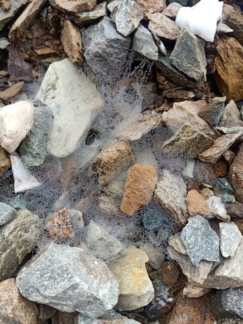 Spider webs with dewdrops on stones 