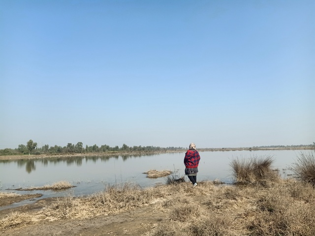 A landscape with a wetland 