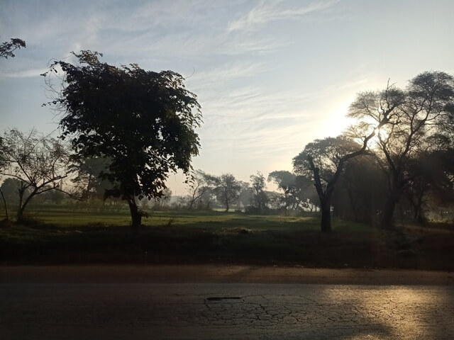 A landscape on a roadside 