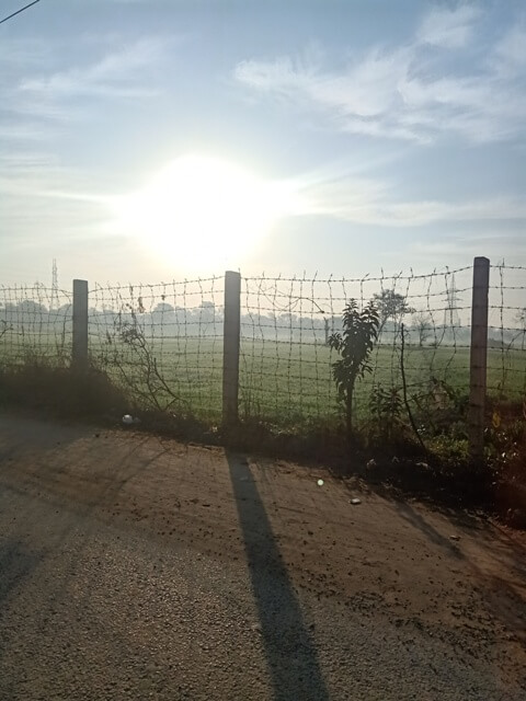 Morning sun and beautiful fields 