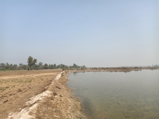 A beautiful wetland view 