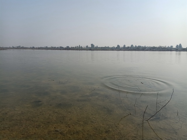 A wetland with ripple effect