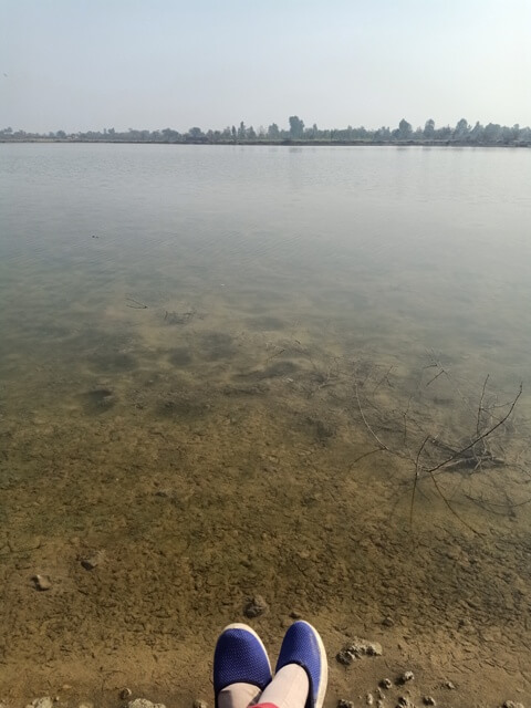 A wetland with bottom