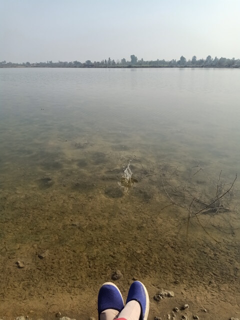 Soil in a wetland with ripples 