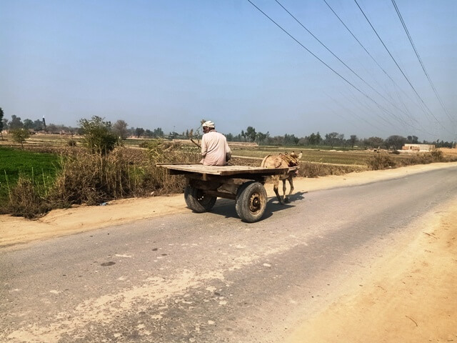 A countryside road with a donkey cart