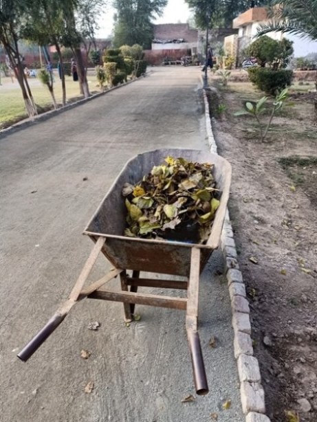 A cart with autumn leaves 