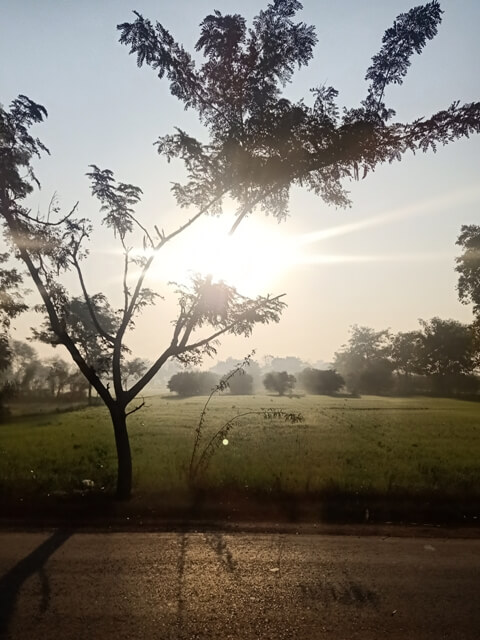 Sunrises through fields 