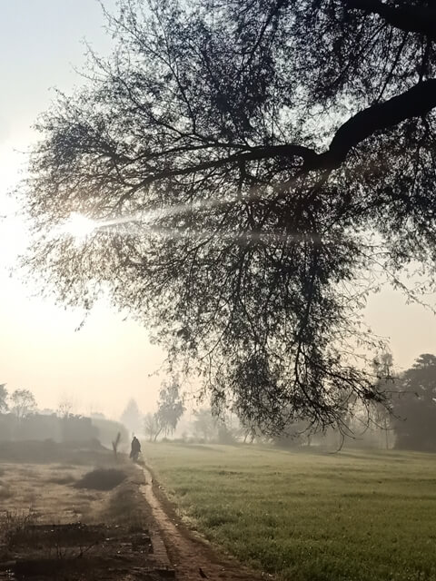 Beautiful sunrise in the countryside 