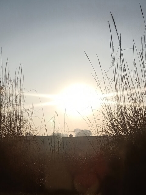 Sunbeams during sunrise 