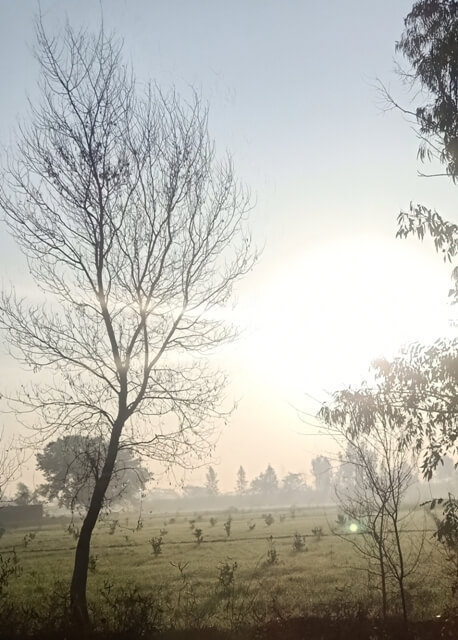 Morning sun and fields 