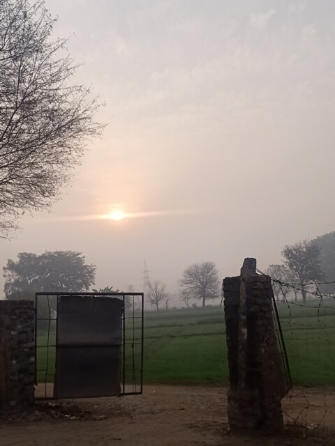 A gateway to fields in fog
