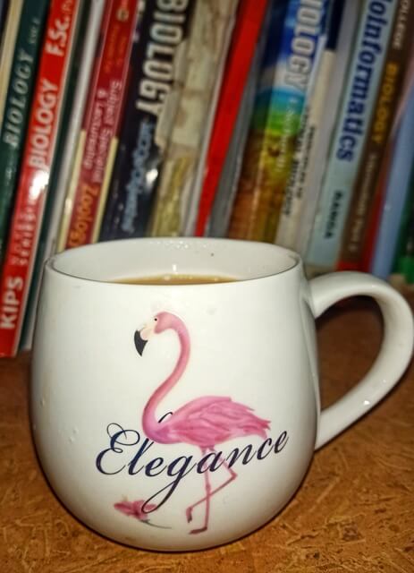 Tea cup and book shelf 