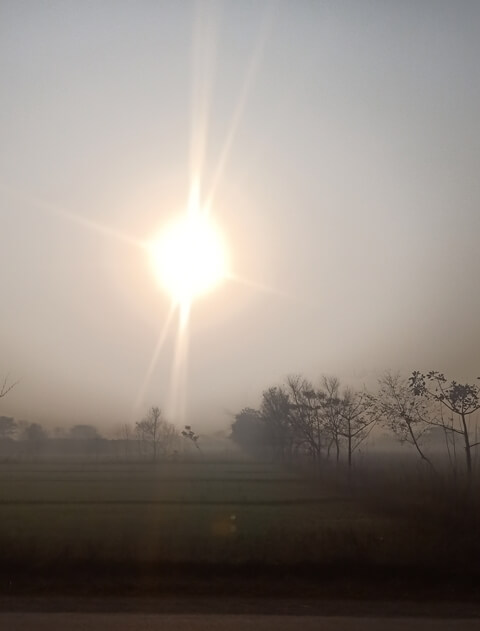 A bright sun and foggy morning 