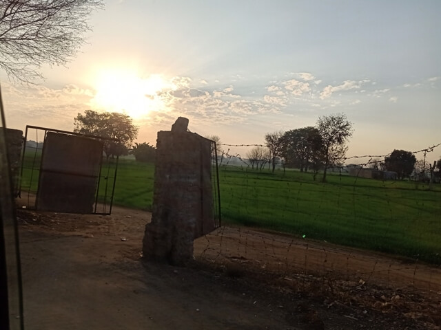 Sunrise and crop fields 