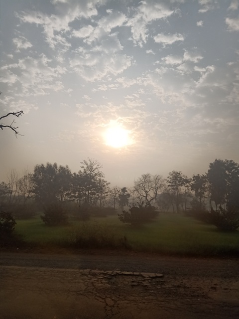 Sunrise and crops 