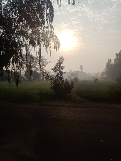 Countryside sunrise 