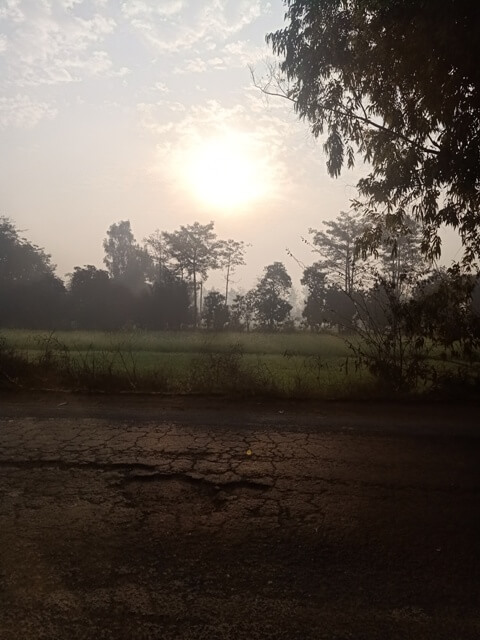 Road side sunrise in fields 