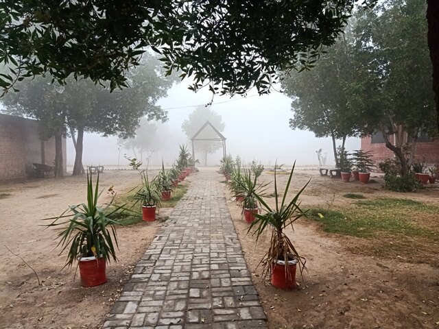 Trail in a foggy garden 