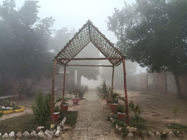 A garden view in a foggy morning