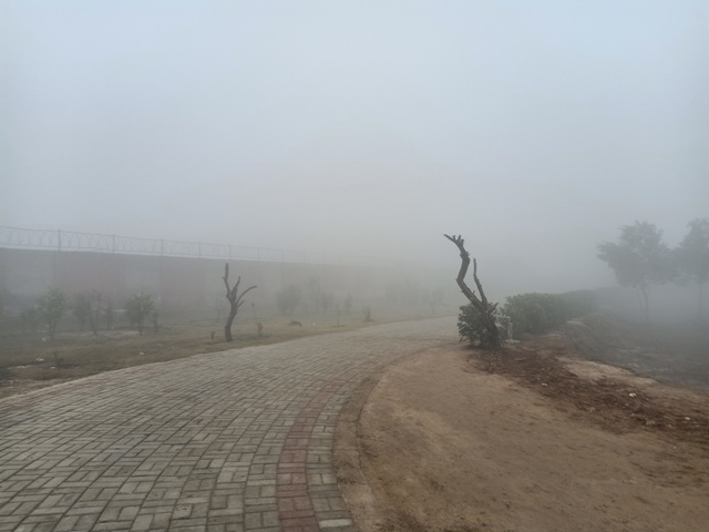 A road and fog 