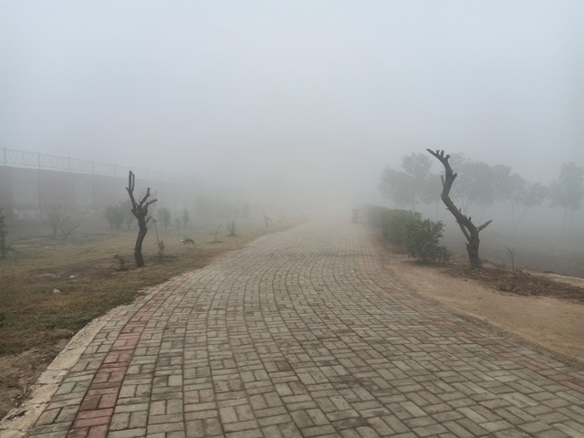 A foggy morning 