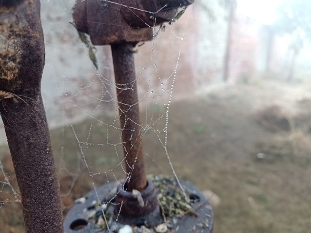 Spider web on an iron stand 