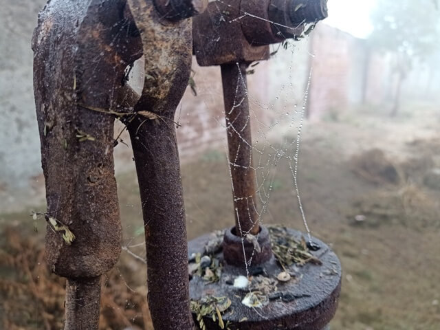 Spider web on water pump in lawn 