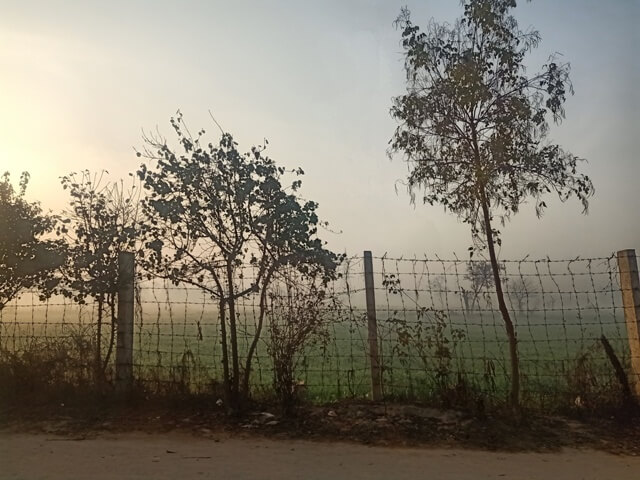 Fields in a foggy morning 