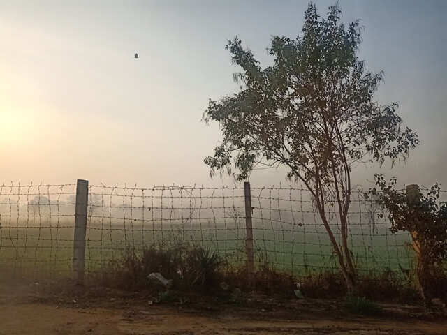 Countryside foggy fields 
