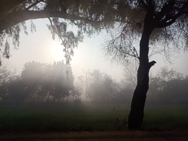 Foggy morning and sunrise