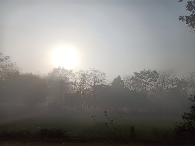 Foggy morning sunrise in the countryside 