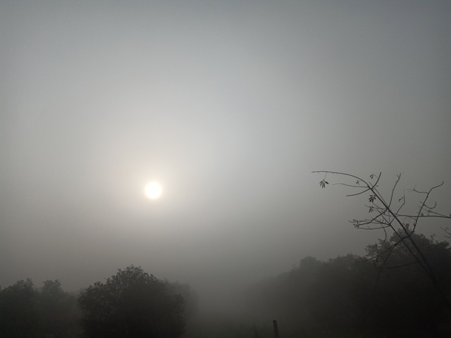 Foggy morning sun 