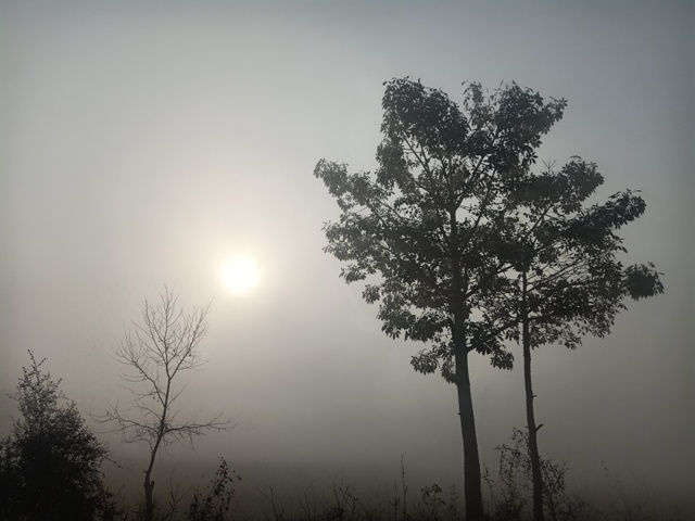 Hazel sun during foggy morning 