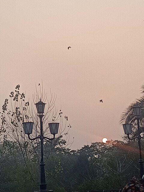 Golden hour in a park 