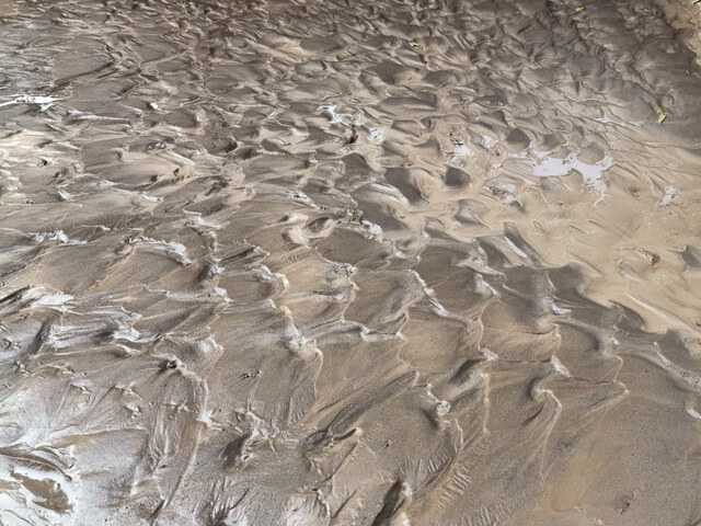 Pattern on river sand 