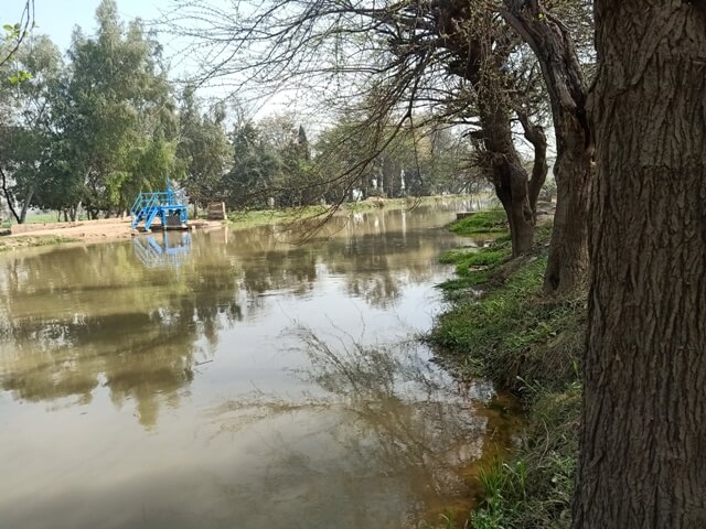 A canal with a tree line 