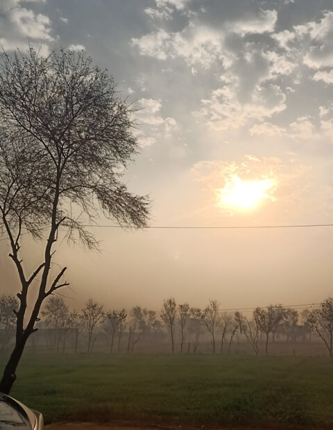 Sunrise through fields 