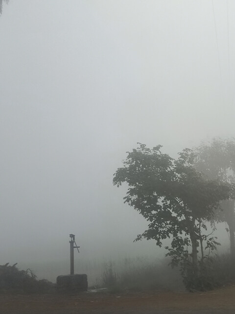 Dense fog in a village 