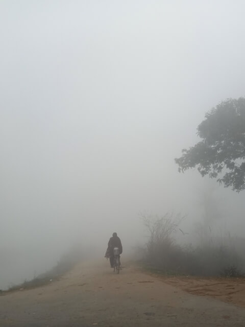 Countryside foggy morning 