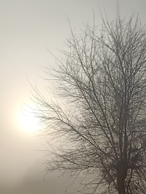Sun in the foggy morning 