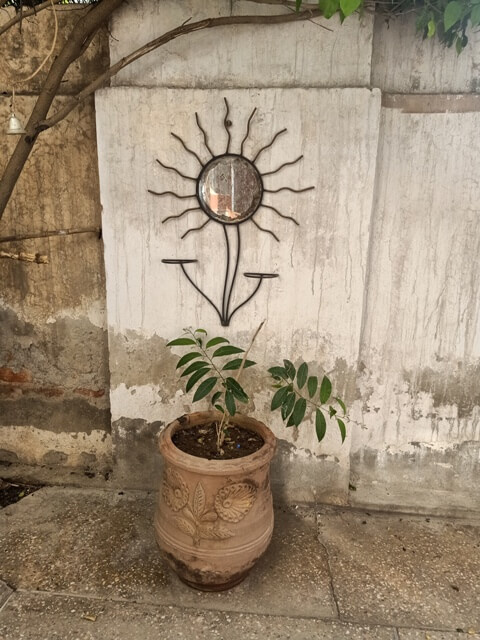 Plant and wall decor in lawn 