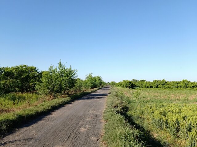 A road through countryside