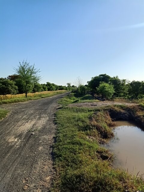 A road near a canal in a village 