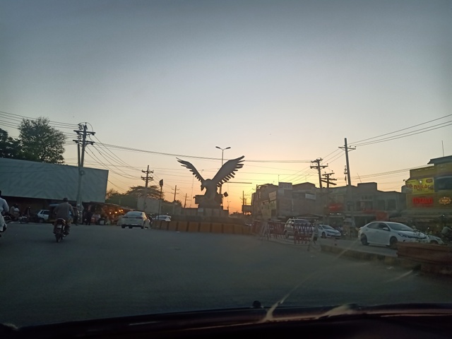Beautiful sunset and a bird 
