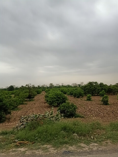 Rainy weather in countryside 